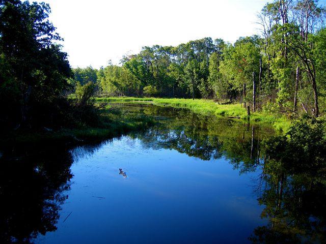  tranquil river scene surrounded by lush greenery, reflecting the blue sky above. A few trees line the riverbanks, and patches of bright grass are visible on the bank, creating a serene natural environment. Lake Metigoshe State Park mountain bike trail.