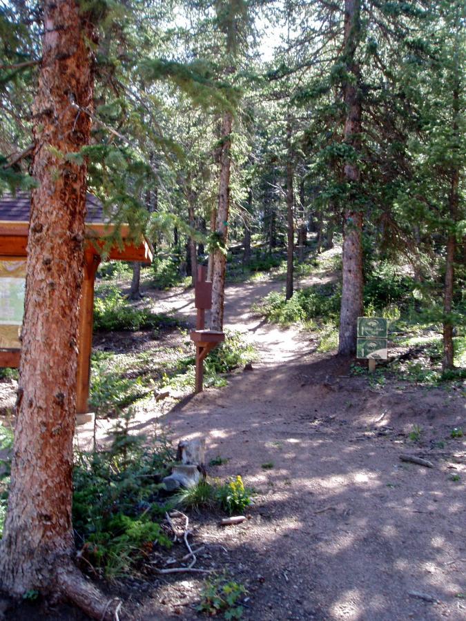 A wooded trail leading through a forest, surrounded by tall pine trees. In the foreground, there is a wooden information sign to the left and a trail marker to the right. The ground is mostly dirt with some greenery, and the sunlight filters through the trees, casting dappled shadows on the path. North Catamount Reservoir mountain bike trail.