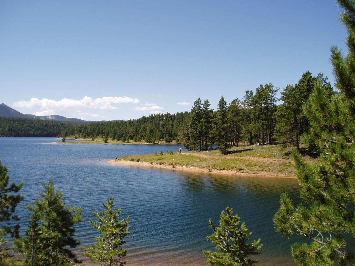 Scenic view of a tranquil lake surrounded by trees and mountains, with clear blue skies and a few fluffy clouds. The shoreline features sandy areas and lush green grass, while individuals can be seen enjoying the natural beauty in the background. North Catamount Reservoir mountain bike trail.