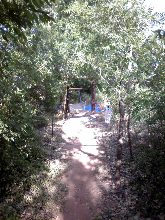 A narrow dirt path surrounded by lush greenery leads towards a wooden structure in the distance. The path is partially covered with fallen leaves, and blue fencing can be seen along the sides. There are posts along the trail, suggesting it is a marked route. Sunlight filters through the trees, creating a serene and natural atmosphere. Wee-chi-ta mountain bike trail.