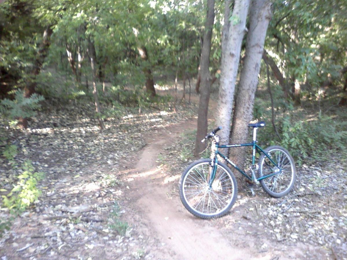 A mountain bike resting against a tree on a dirt path surrounded by greenery and fallen leaves in a forested area. Wee-chi-ta mountain bike trail.