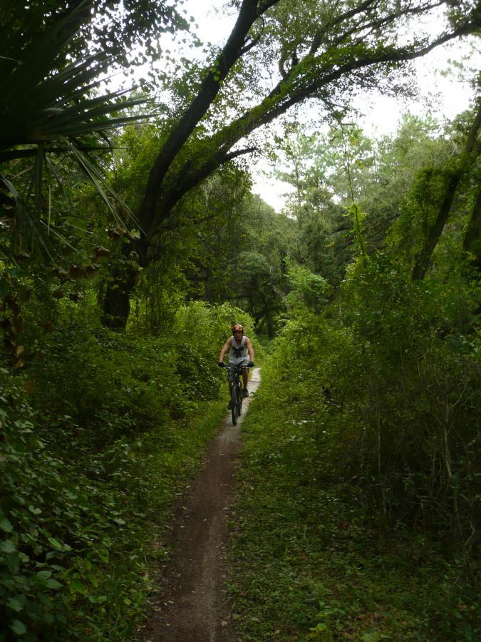 A person riding a mountain bike along a narrow dirt trail surrounded by lush greenery and tall trees. The scene captures a vibrant outdoor setting, highlighting the natural beauty of the environment. Santos mountain bike trail.