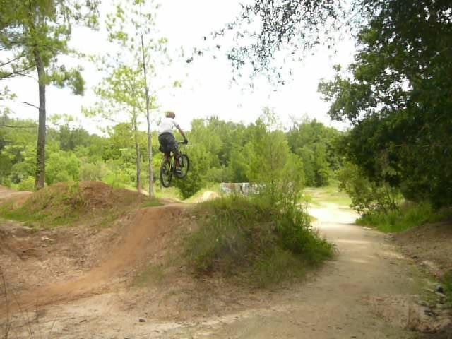 A person on a mountain bike performing a jump on a dirt track in a forested area. Surrounding vegetation includes trees and shrubs, with a clear sky above. Santos mountain bike trail.