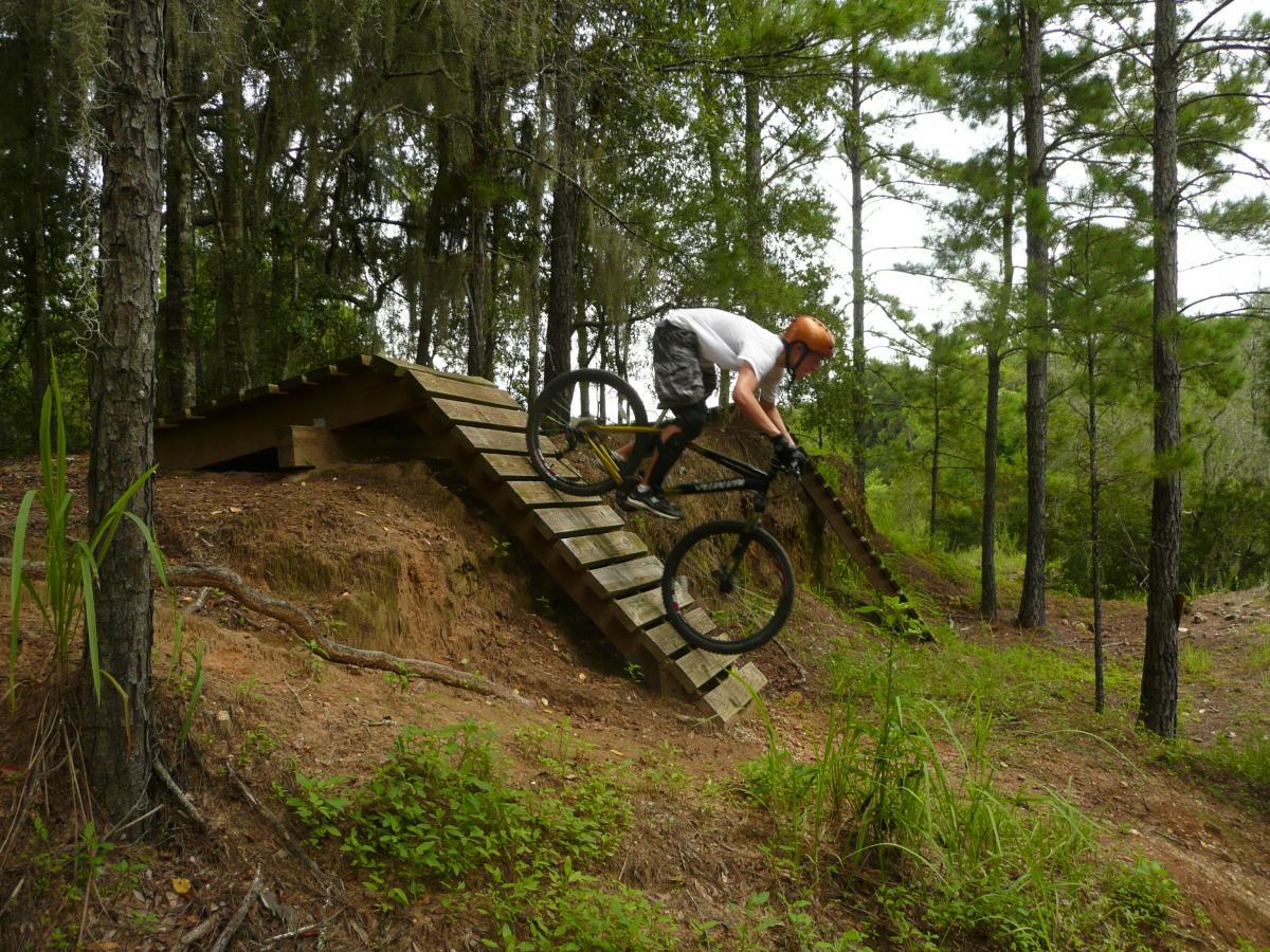 A mountain biker descending a wooden ramp in a forested area, surrounded by tall trees and greenery. The cyclist is wearing an orange helmet and is mid-motion on the bike, navigating a dirt trail. Santos mountain bike trail.