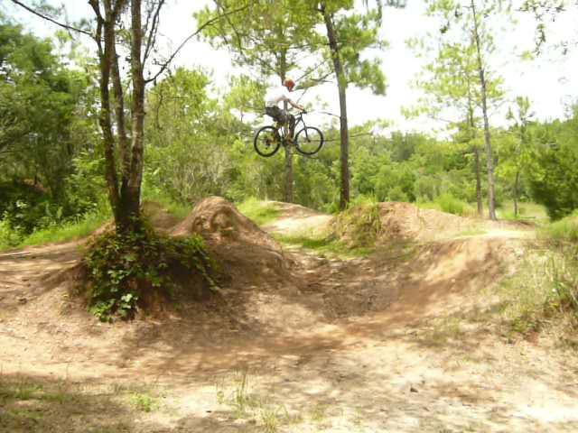 A cyclist performing a jump on a dirt bike at a bike park, surrounded by trees and greenery. The rider is mid-air above a dirt ramp, showcasing a dynamic moment in an outdoor setting. Santos mountain bike trail.