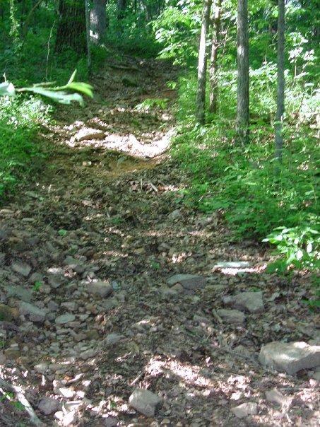 A narrow, rocky trail winding through a dense forest, with sunlight filtering through the trees. The path is lined with loose stones and surrounded by lush greenery. Monte Sano State Park &amp; Land Trust mountain bike trail.