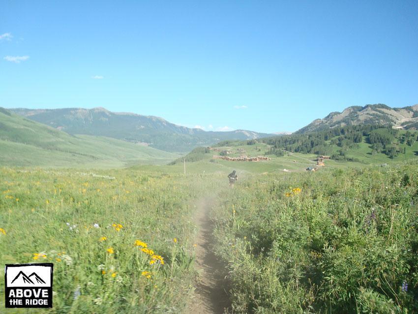 A scenic view of a grassy trail surrounded by vibrant wildflowers, leading through a mountainous landscape under a clear blue sky. In the distance, green hills and patches of trees are visible, alongside rustic buildings nestled in the valley. The image conveys a sense of adventure and the beauty of nature. Snodgrass mountain bike trail.