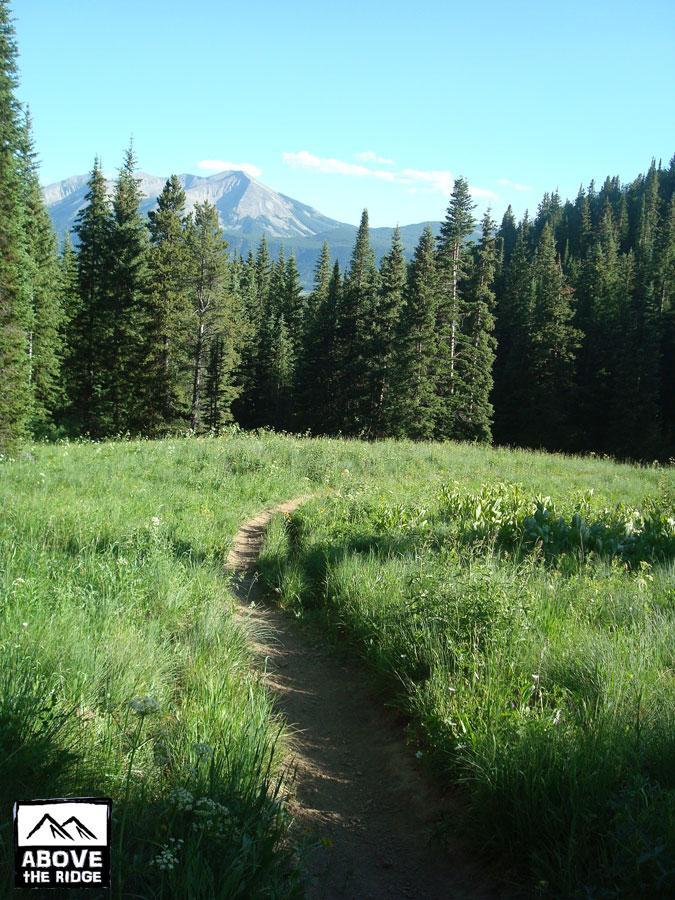 A winding dirt path leads through a lush green meadow surrounded by tall coniferous trees. In the background, a majestic mountain rises against a clear blue sky, showcasing a serene and natural landscape. Snodgrass mountain bike trail.