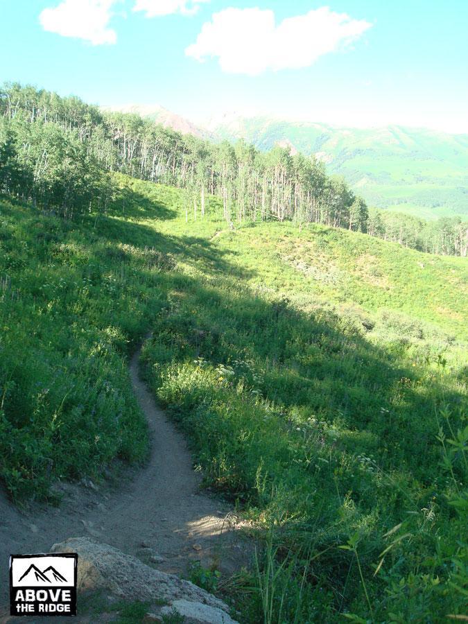  Snodgrass mountain bike trail.