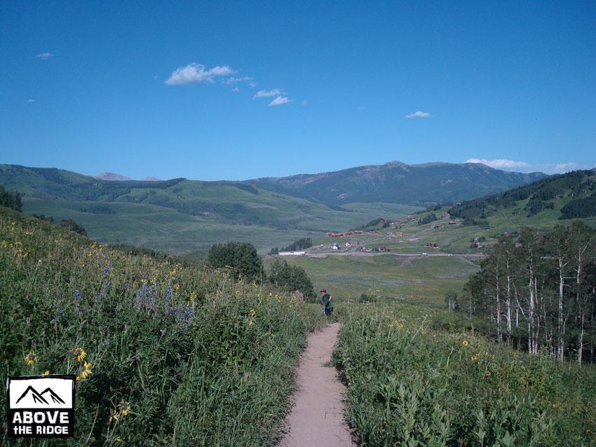 A scenic view of a winding dirt path through lush green vegetation, leading towards a valley surrounded by mountains under a clear blue sky. A person is walking along the path, with colorful wildflowers in the foreground. In the distance, a small settlement is visible amid the rolling hills. Snodgrass mountain bike trail.