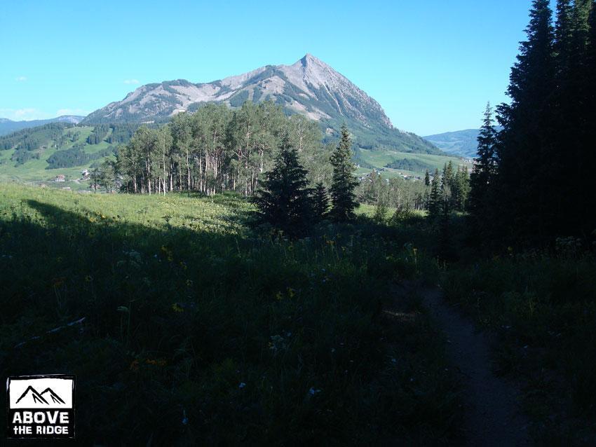A scenic view of a mountainous landscape featuring a prominent peak against a clear blue sky. In the foreground, a lush green meadow is dotted with flowers, leading to a dense grove of trees. The scene captures the natural beauty and tranquility of a mountainous region, ideal for outdoor activities. Snodgrass mountain bike trail.