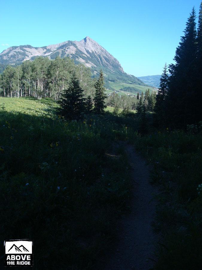 A scenic view of a mountain landscape featuring a prominent peak in the distance, surrounded by lush green meadows and a pathway winding through the foreground. Tall trees and wildflowers add to the natural beauty under a clear blue sky. Snodgrass mountain bike trail.