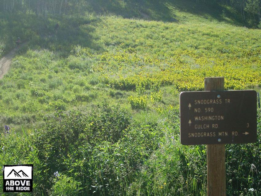 A scenic view of a green hillside with a trail leading through it, featuring a wooden signpost displaying directions for Snodgrass Trail No. 590, Washington Gulch Road, and Snodgrass Mountain Road. The landscape is filled with lush vegetation and wildflowers under a clear sky. Snodgrass mountain bike trail.