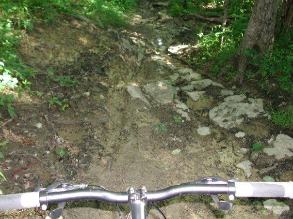 A view from the handlebars of a mountain bike, looking down a rocky and uneven trail surrounded by lush green foliage. The path is rugged, with exposed roots and stones, indicating a challenging ride ahead through a forested area. Monte Sano State Park &amp; Land Trust mountain bike trail.