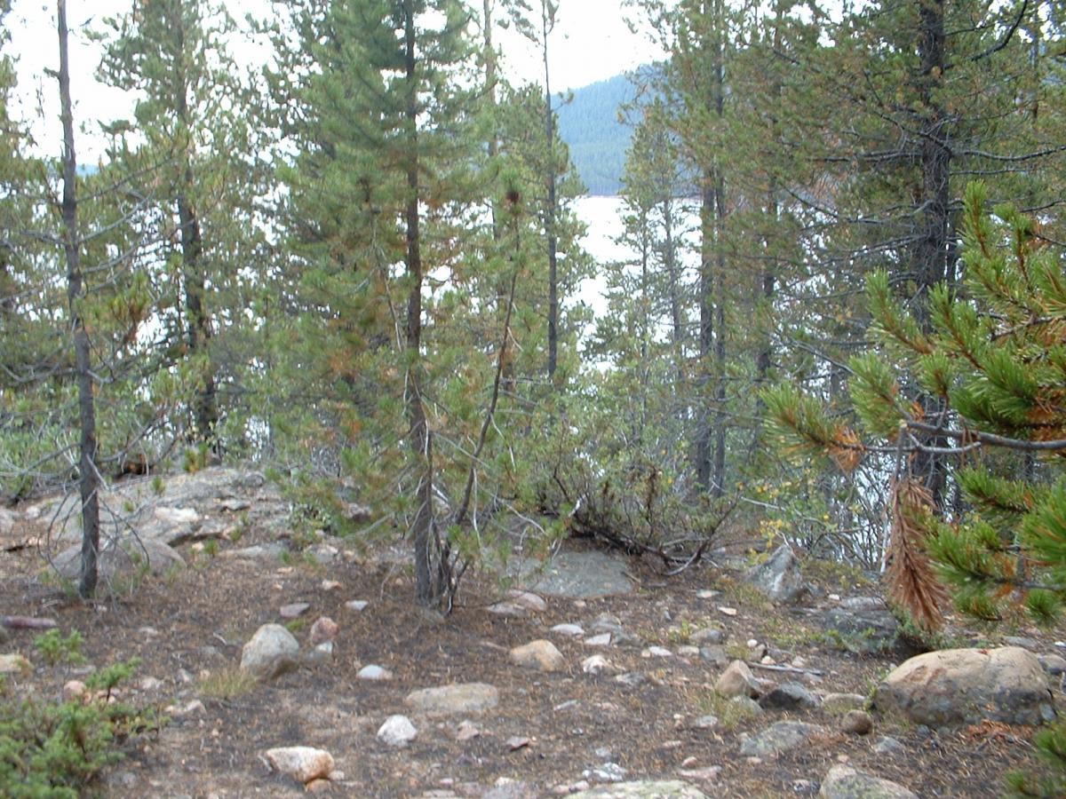 A rocky, forested area leading to a calm lake, surrounded by tall pine trees and distant mountains. The ground is scattered with stones and patches of grass, creating a natural, serene landscape. Turquoise Lake mountain bike trail.