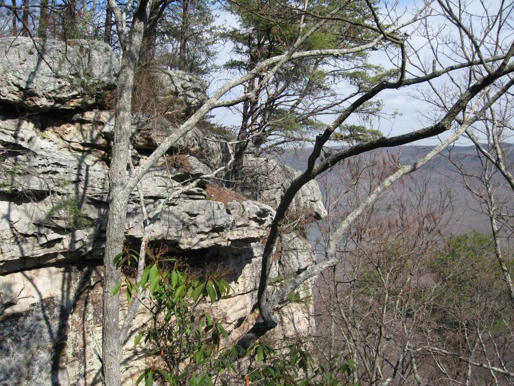 A rocky cliffside surrounded by bare trees and branches, with distant mountains visible in the background under a partly cloudy sky. The scene captures the natural landscape of a wooded area. Raccoon Mountain Trail Network mountain bike trail.
