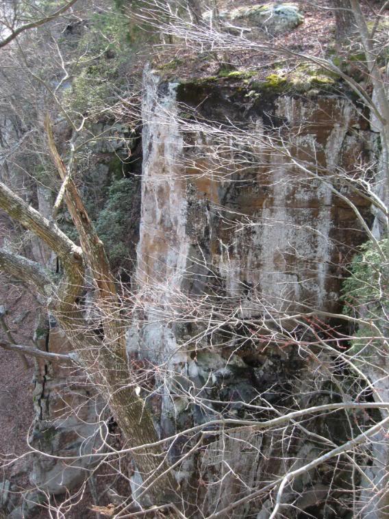 A weathered stone cliff partially covered with moss and surrounded by bare trees in a wooded area, indicating the transition between seasons. The texture of the cliff shows signs of erosion, with patches of discoloration and exposed rock. Raccoon Mountain Trail Network mountain bike trail.