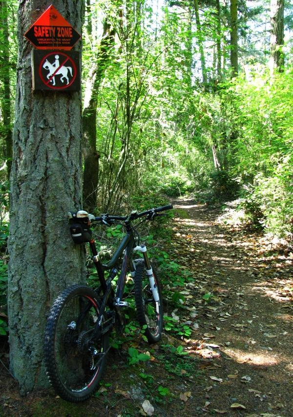 A mountain bike leans against a tree, with a 'Safety Zone' sign indicating restrictions on horseback riding. The scene is set in a lush green forest with a narrow, winding dirt path covered in fallen leaves. Sunlight filters through the leaves, casting dappled shadows. Fort Ebey St Park mountain bike trail.