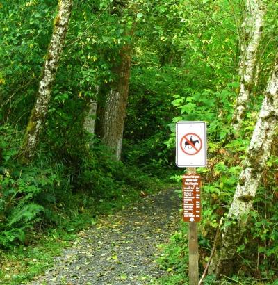 A narrow gravel path surrounded by lush green foliage and tall trees, featuring a wooden sign with a "no dogs" symbol and regulations for trail use. Interurban Tr mountain bike trail.
