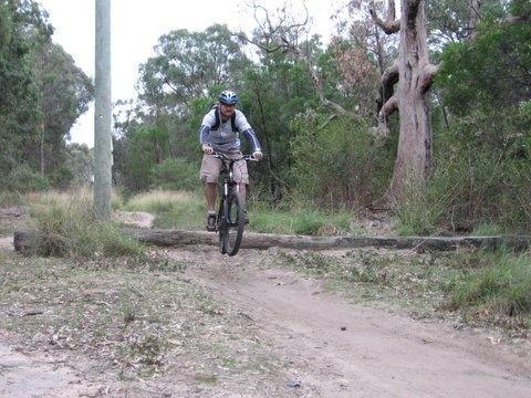 A person wearing a helmet and cycling gear riding a mountain bike over a fallen log on a dirt trail in a forested area. Yellowmundi mountain bike trail.