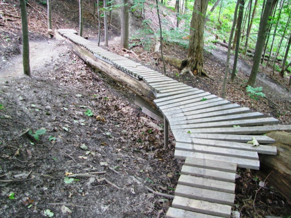 Wooden walkway winding through a forested area with trees and leaf-covered ground. The path is elevated and consists of slatted wood planks, providing a clear route through the natural surroundings. Don Valley mountain bike trail.
