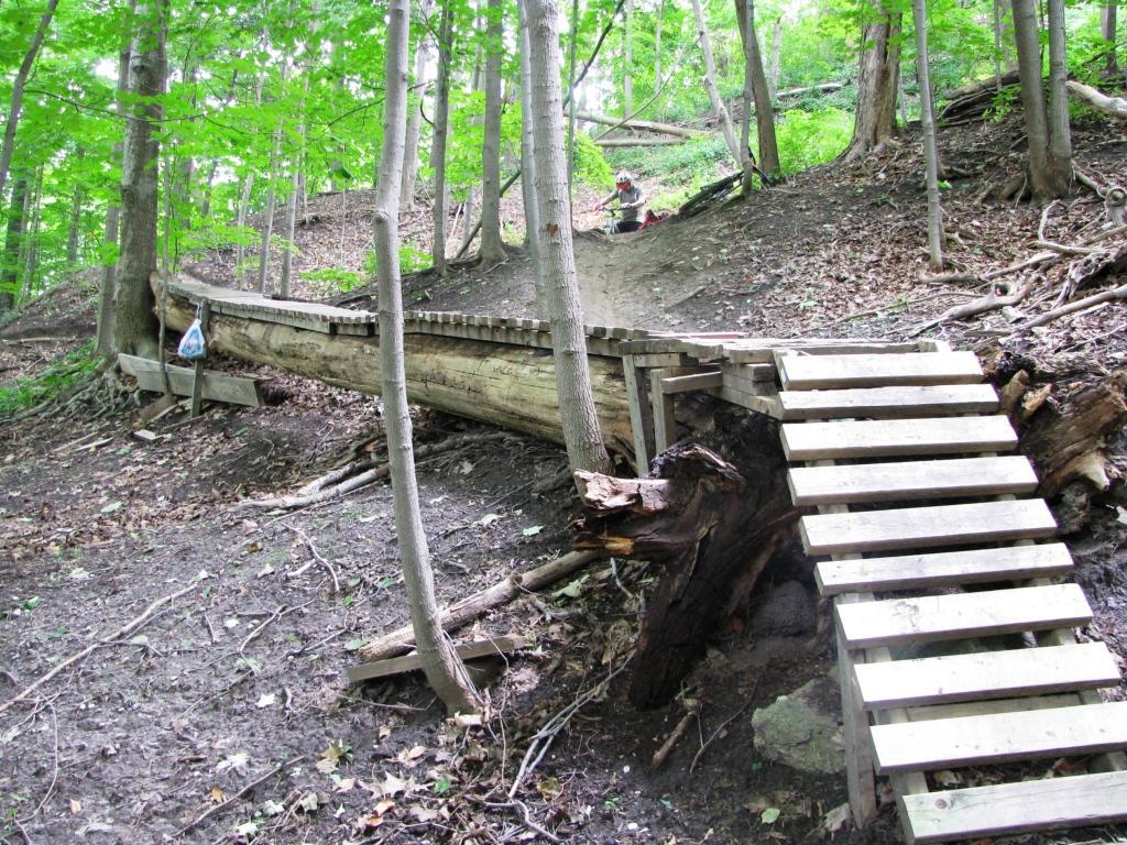 A wooden bridge made from logs and planks leads up a small hillside in a forested area. The path is surrounded by green trees and underbrush, with some fallen leaves on the ground. A small set of steps connects the bridge to the ground, and a bag hangs from one of the trees nearby. Don Valley mountain bike trail.