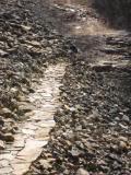 A narrow stone pathway winding through a rocky terrain, with loose stones on either side and a faint trail visible in the background. Raccoon Mountain Trail Network mountain bike trail.