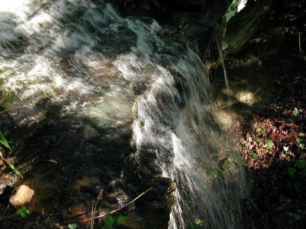 A flowing stream of clear water cascading over rocks, surrounded by lush green foliage and dappled sunlight creating a serene natural scene. Monte Sano State Park &amp; Land Trust mountain bike trail.