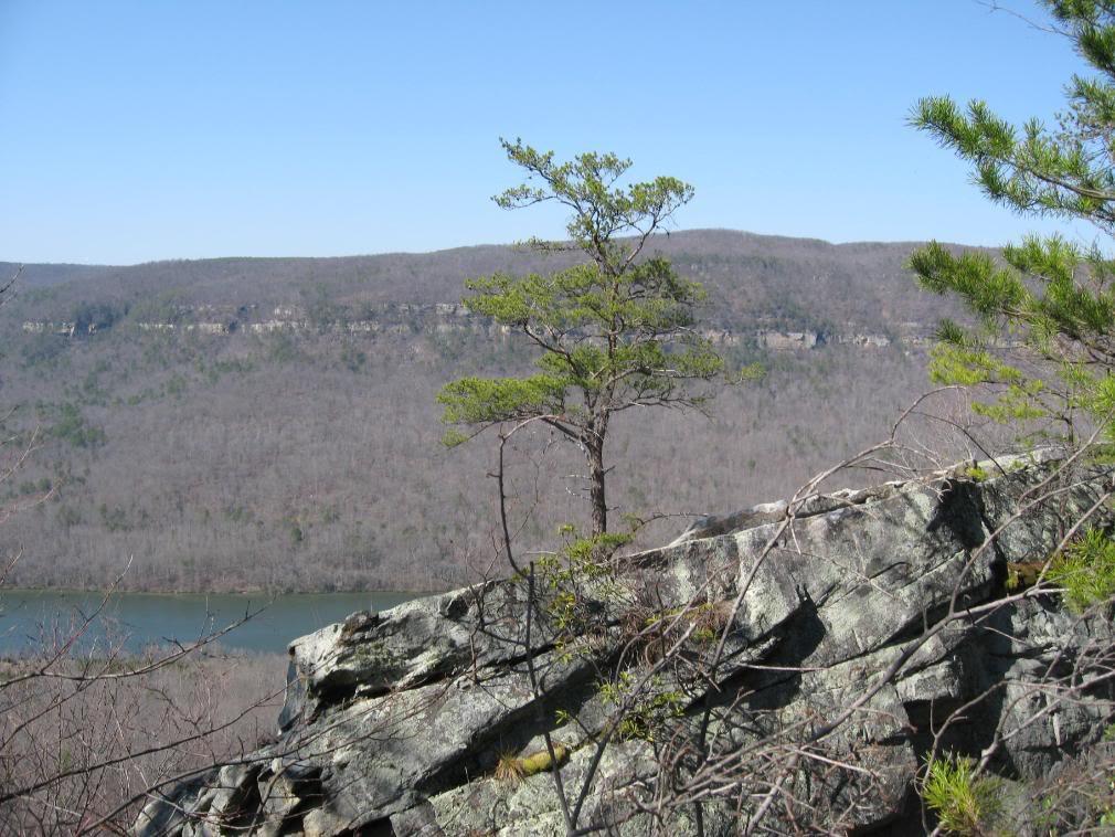  Raccoon Mountain Trail Network mountain bike trail.
