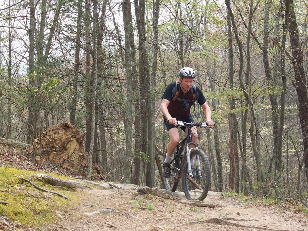 A mountain biker navigating a rugged trail surrounded by trees. The cyclist is wearing a helmet and cycling gear, concentrating on the path ahead. In the background, tall trees and a blend of earthy tones create a natural woodland setting. Carvin's Cove Trail system mountain bike trail.
