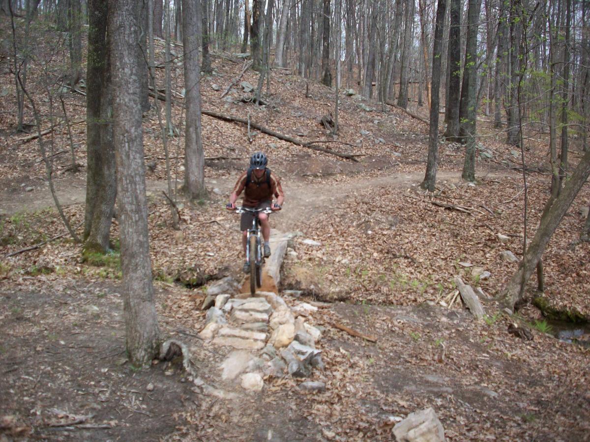 A mountain biker navigating a rocky bridge over a small stream in a forested area, surrounded by bare trees and fallen leaves. Carvin's Cove Trail system mountain bike trail.