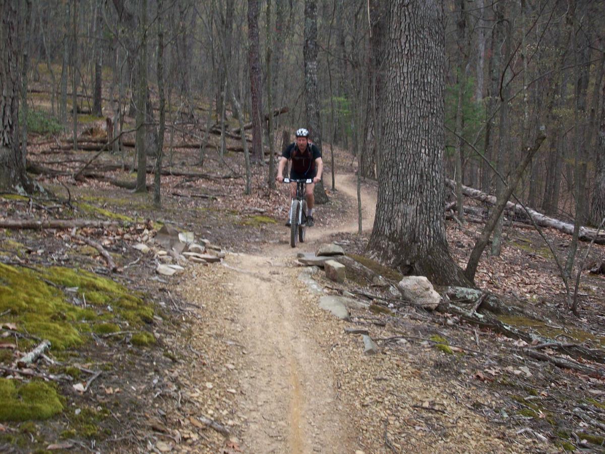 A cyclist riding a mountain bike along a narrow dirt trail in a wooded area. The scene features tall trees and scattered foliage, with patches of moss and rocks along the path. The cyclist is wearing a helmet and biking gear, navigating the trail surrounded by nature. Carvin's Cove Trail system mountain bike trail.