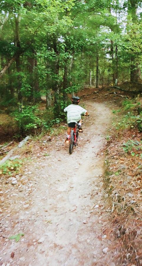 A child riding a red bicycle along a narrow dirt trail in a lush green forest. The bike path is surrounded by dense trees and foliage, creating a serene outdoor atmosphere. The child is wearing a helmet and a light-colored shirt, focused on navigating the trail. Harbison State Forest mountain bike trail.