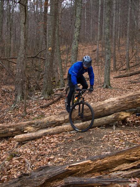 A mountain biker in a blue jacket and helmet navigates over a fallen log on a forest trail, surrounded by trees and autumn leaves. Carvin's Cove Trail system mountain bike trail.