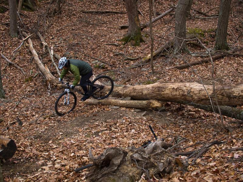 A person riding a mountain bike over a fallen log in a wooded area, surrounded by autumn leaves and bare trees. The cyclist is wearing a helmet and appears focused as they navigate the terrain. Carvin's Cove Trail system mountain bike trail.