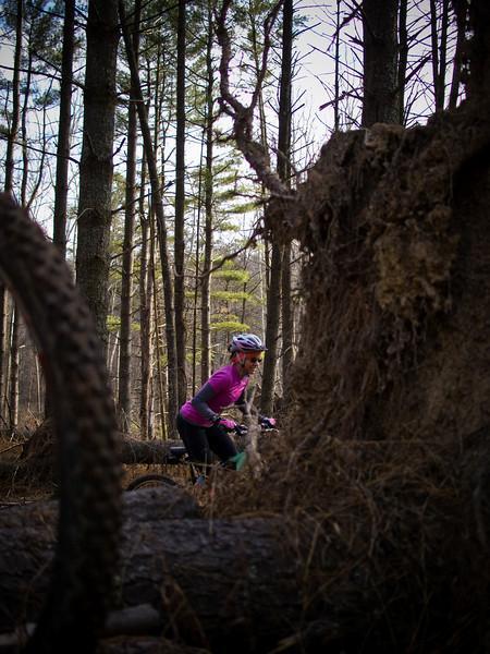 A cyclist wearing a pink jacket and helmet navigates through a wooded area, surrounded by tall trees and fallen logs. The image captures the sense of adventure and outdoor activity in nature. Carvin's Cove Trail system mountain bike trail.