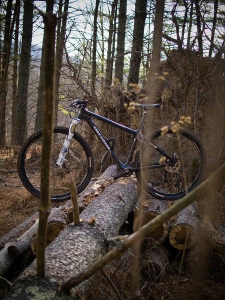 A mountain bike stands upright on a log pile in a dense forest, surrounded by tree trunks and fallen branches, with a muted color palette reflecting the natural environment. Carvin's Cove Trail system mountain bike trail.