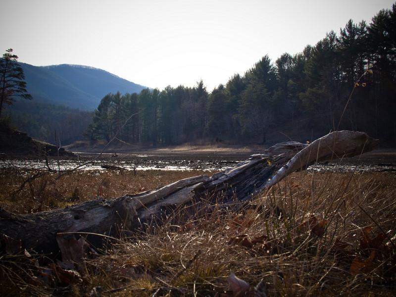 A scenic view of a dry riverbed surrounded by mountains and a forest. In the foreground, a weathered log rests on dry grass, with sparse vegetation and fallen leaves. The distant mountains are partially covered with trees, and the sky is bright, suggesting a sunny day. Carvin's Cove Trail system mountain bike trail.