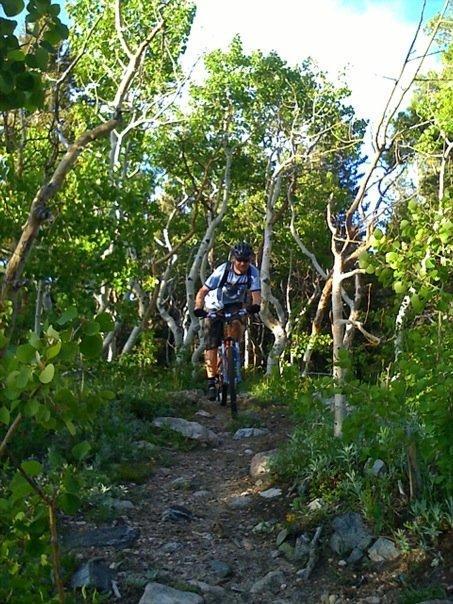A mountain biker navigating a rocky trail surrounded by lush green trees and sunlight filtering through the leaves. West Magnolia mountain bike trail.