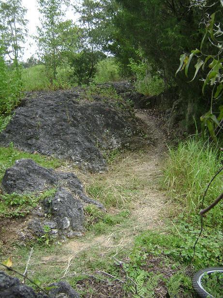 A narrow dirt path winds through a lush green landscape, flanked by large rocky outcrops and tall grasses. The scene is shaded by trees in the background, creating a serene and natural setting. Haile's Trails mountain bike trail.
