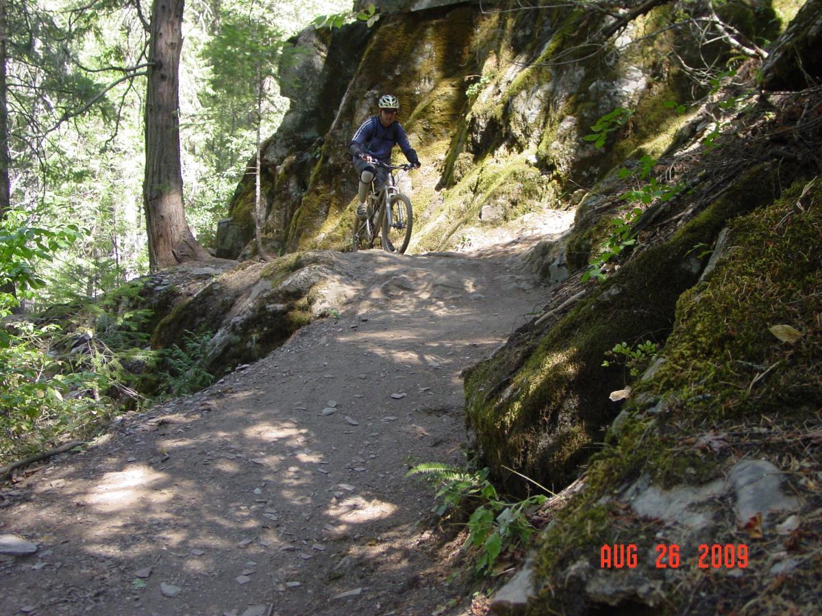 A mountain biker riding along a narrow dirt trail surrounded by rocky terrain and lush green foliage in a forest setting. Sunlight filters through the trees, casting dappled shadows on the path. Downieville Downhill mountain bike trail.