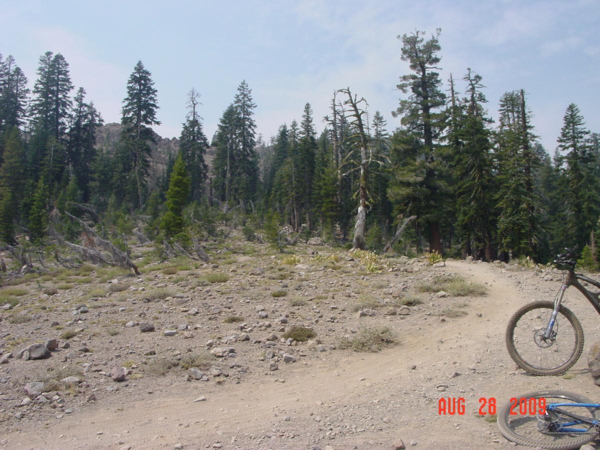 A dirt trail winding through a forested area, surrounded by tall pine trees and rocky terrain. A bicycle is partially visible in the foreground. The scene has a light blue sky with a few clouds, showcasing a serene outdoor setting. The date "AUG 28 2009" is displayed in the corner. Hole In The Ground mountain bike trail.