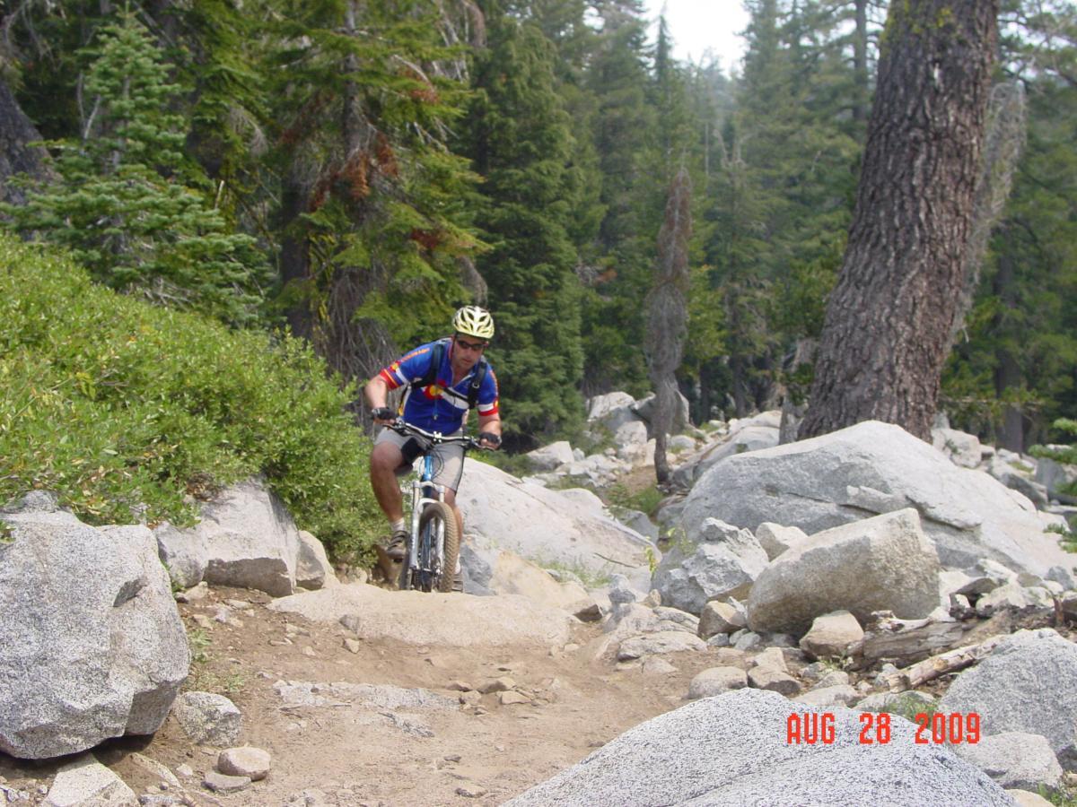 A mountain biker navigating a rocky trail surrounded by dense trees and greenery. The rider is wearing a helmet and colorful cycling gear, showcasing the outdoor activity in a natural setting. Hole In The Ground mountain bike trail.