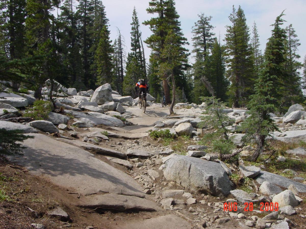 A cyclist rides along a rocky trail in a forested area, surrounded by tall pine trees and boulders in a natural landscape. Hole In The Ground mountain bike trail.