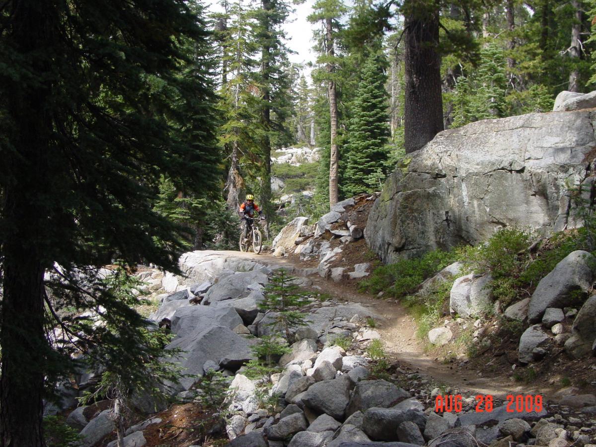 A mountain biker navigating a rocky trail surrounded by tall trees in a forested area. The path is narrow and lined with large boulders, indicating a challenging terrain. The scene captures a vibrant nature setting, with varying shades of green from the foliage and a clear view of the rugged landscape. Hole In The Ground mountain bike trail.