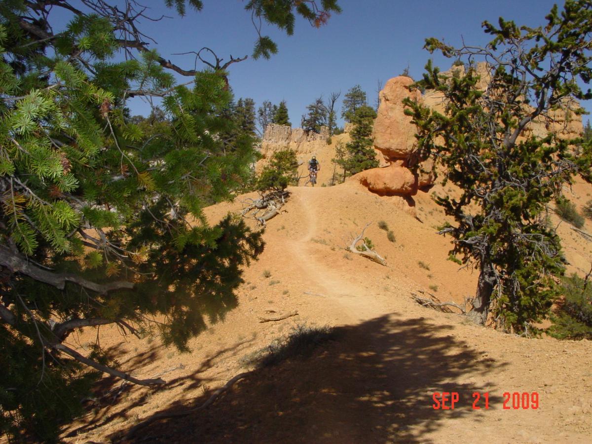 A narrow dirt path winds through a rocky landscape surrounded by green trees, with a person walking in the distance. The bright blue sky is visible above, and the scene captures the natural beauty of a rugged outdoor setting. Thunder Mountain mountain bike trail.