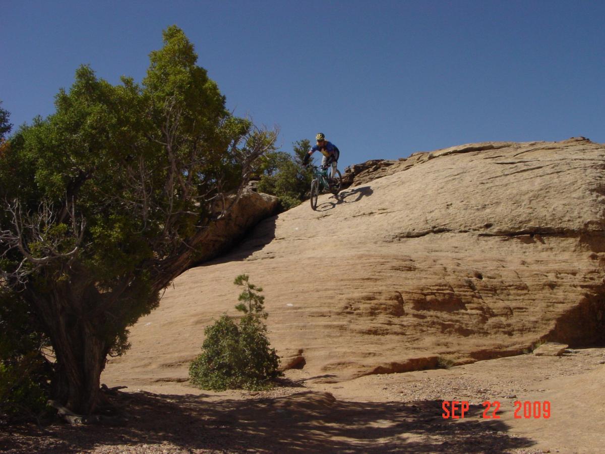 A mountain biker riding down a rocky slope, surrounded by shrubs and trees, on a clear sunny day. The scene captures outdoor adventure and terrain suitable for biking. Gooseberry Mesa mountain bike trail.