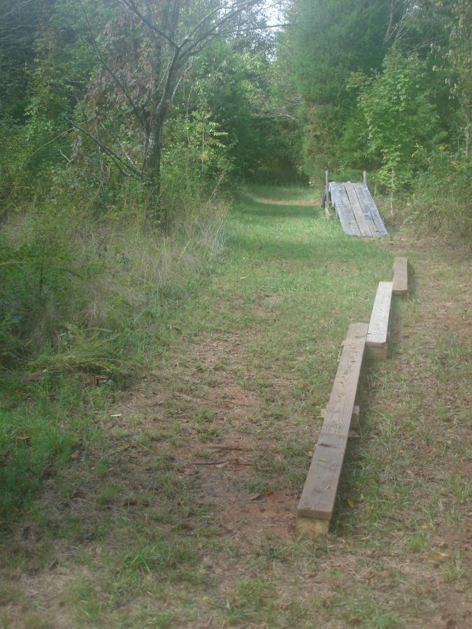 A narrow path through a green, wooded area, featuring a small wooden ramp at the end. Wooden planks line the trail, which is surrounded by trees and grass. The scene is tranquil and natural, depicting a serene outdoor environment. Signal Hill mountain bike trail.