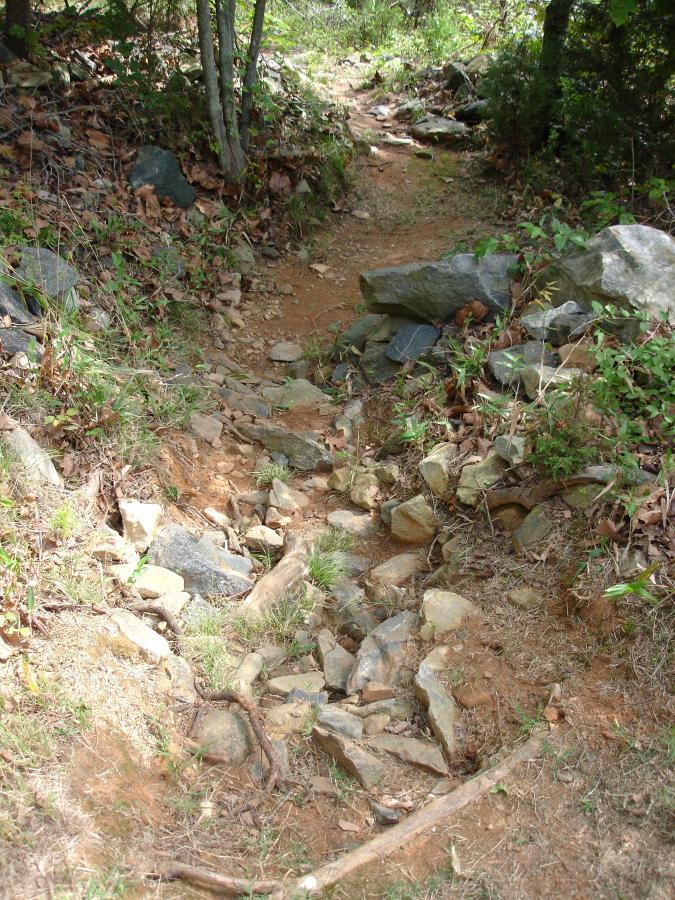 A narrow, rocky trail winding through a forested area, surrounded by green foliage and leaves on the ground. The path is uneven with scattered stones and patches of dirt. Signal Hill mountain bike trail.