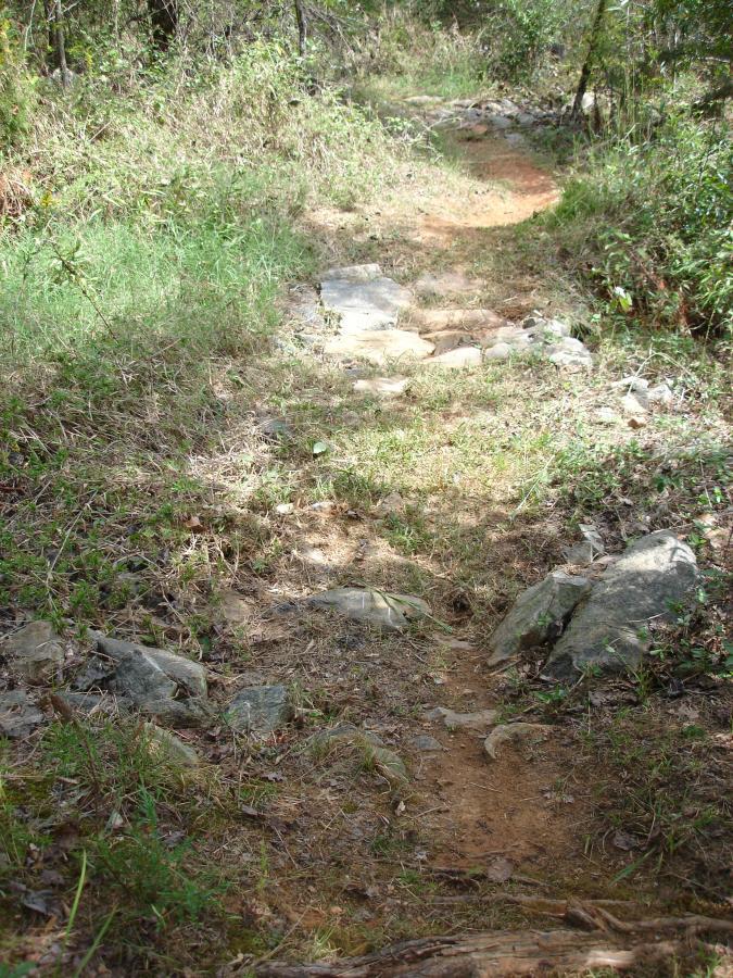 A narrow dirt path winding through a natural landscape, surrounded by grass and scattered rocks, leading into a wooded area. The path appears lightly worn, with patches of bare earth visible among the greenery. Signal Hill mountain bike trail.